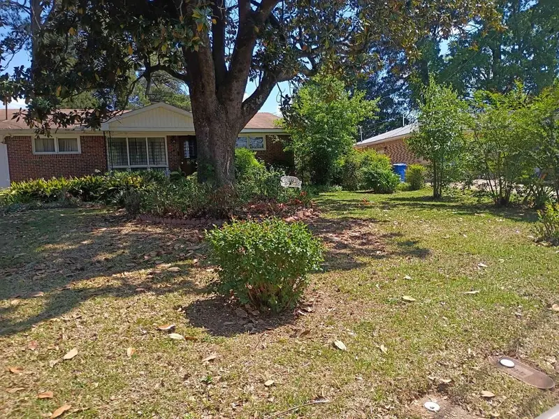 Front yard under a big magnolia, with its leaves dropped across the grass
